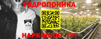 шишки Свободный
